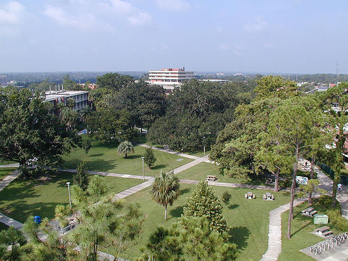 University of Florida Real Estate
